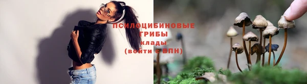хмурый Беломорск