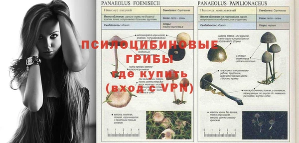 винт Балахна