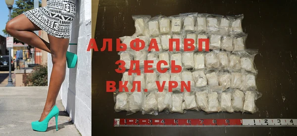 спиды Аркадак