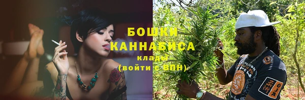 гидра Белокуриха