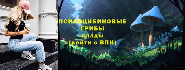 СК Осташков