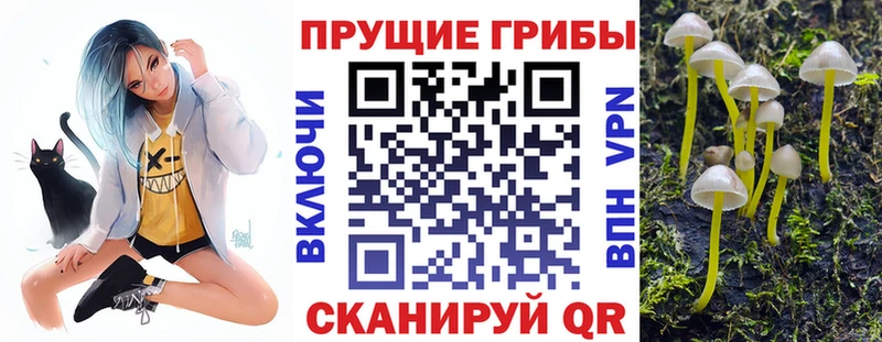 закладки  MEGA   Галлюциногенные грибы мухоморы  Афипский 